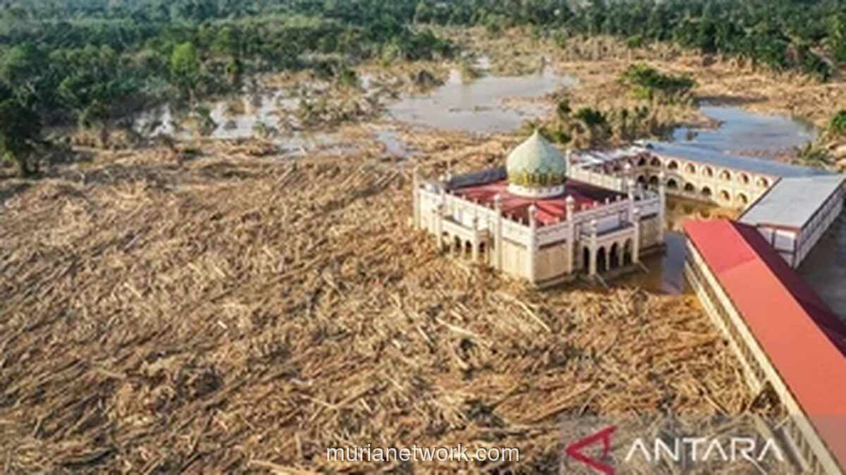 Aceh Tamiang Luluh Lantak, Sejumlah Desa Dinyatakan Tinggal Nama