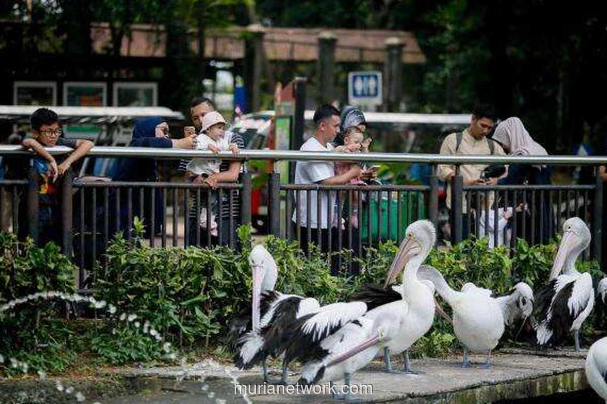 Ragunan Diprediksi Diserbu 100 Ribu Pengunjung di Puncak Libur Nataru
