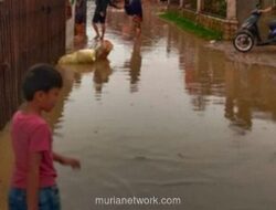 Banjir Susulan Guyur Aceh Timur, Warga Mengungsi untuk Kedua Kalinya