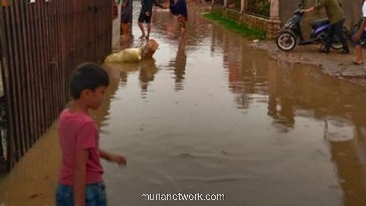 Banjir Susulan Guyur Aceh Timur, Warga Mengungsi untuk Kedua Kalinya