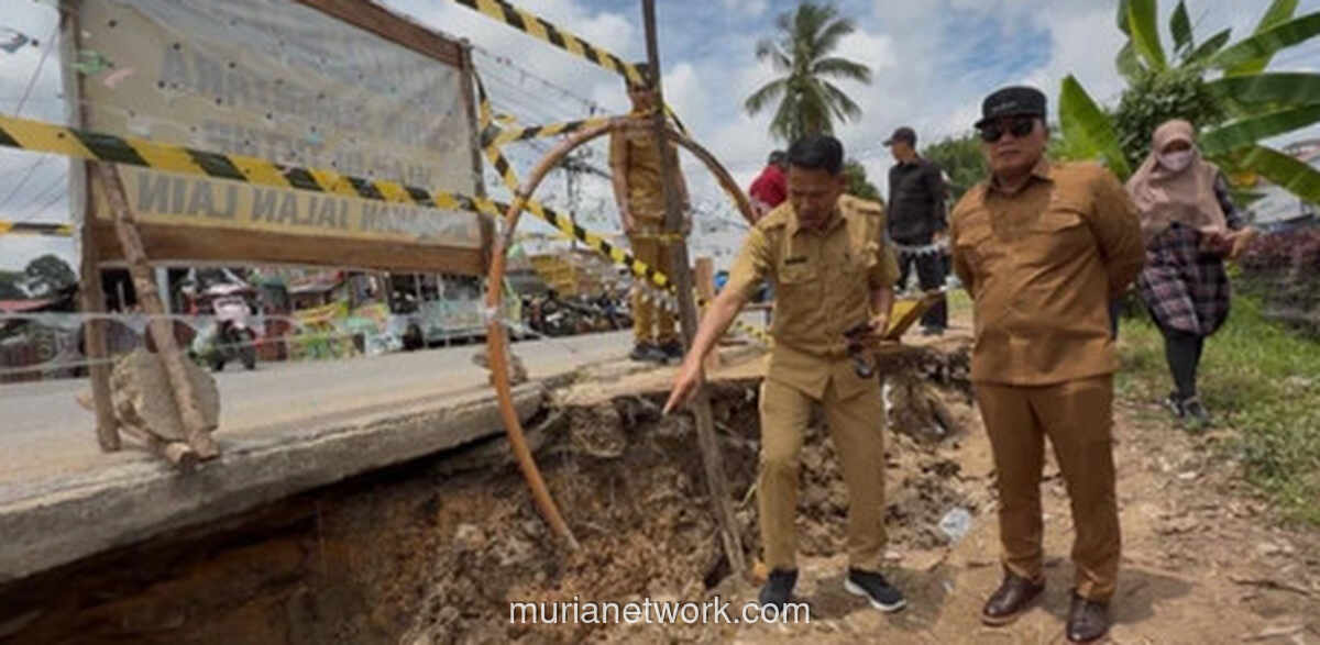 Lima Anak Kalbar yang Menggebrak 2025: Dari Kursi Menteri hingga Gelar Juara