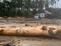 Banjir Sumatera 2025: Saat Hutan Dibabat, Rakyat Dibayangi Air Bah