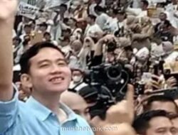 Curut Pendukung Gibran Diserang, Rommi Irawan Singgung Lagi Keputusan Paman MK