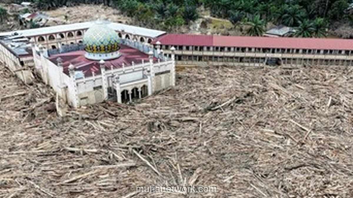 Korban Tewas Banjir-Longsor Sumatera Tembus 961 Jiwa, Pencarian Tetap Digenjot