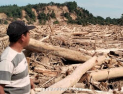 Banjir Kayu Gelondongan Kubur Permukiman Warga Aceh Tamiang