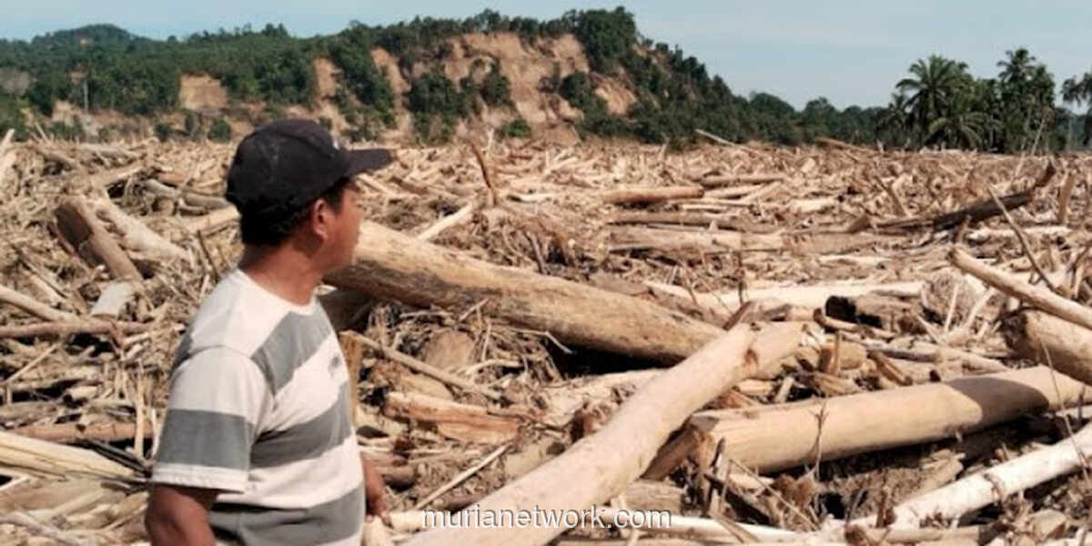 Banjir Kayu Gelondongan Kubur Permukiman Warga Aceh Tamiang
