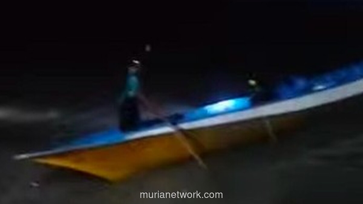 Nelawan Buaya Raksasa di Malam Gelap, Supri Selamat Usai Tusuk Mata Sang Predator