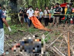 Jenazah Siswa SMK Ditemukan di Kebun Sawit, Polisi Duga Korban Pembunuhan