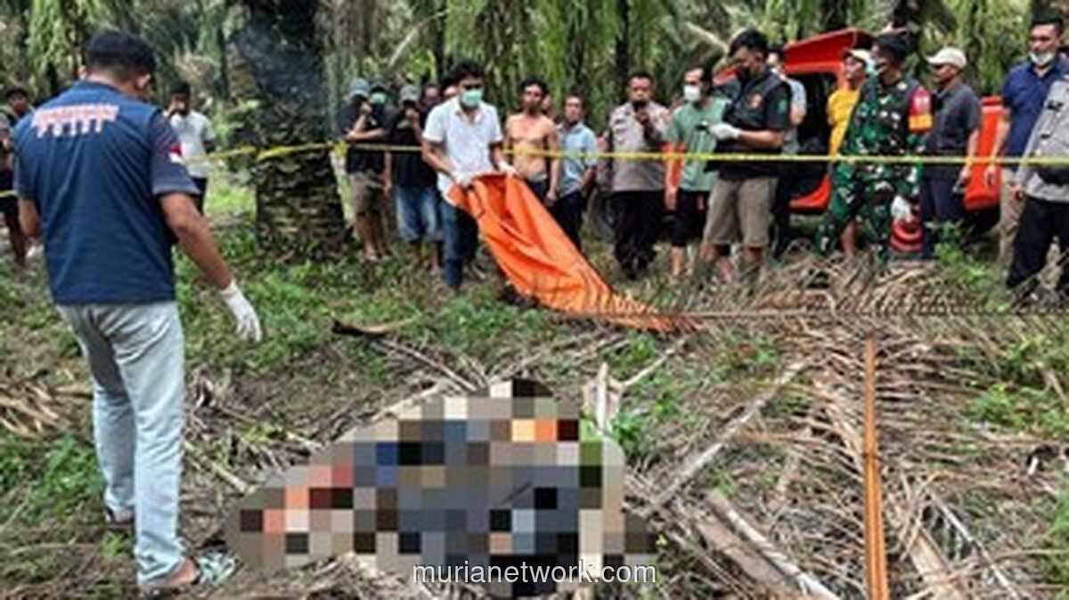 Jenazah Siswa SMK Ditemukan di Kebun Sawit, Polisi Duga Korban Pembunuhan