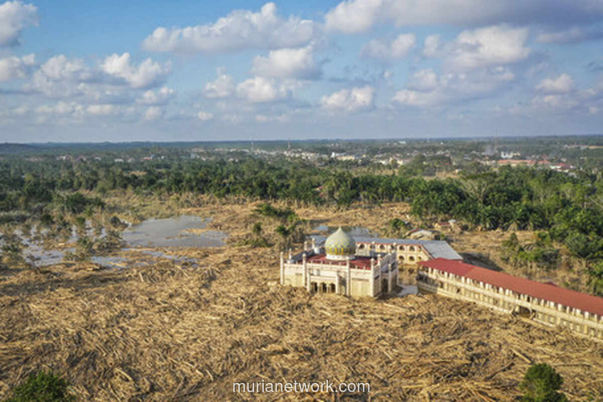 Korban Tewas Banjir-Longsor Sumatera Tembus 914 Jiwa, Akses Terputus Jadi Tantangan Terberat
