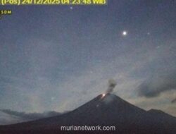 Semeru Bergemuruh Pagi Ini, Kolom Abu Membubung 900 Meter
