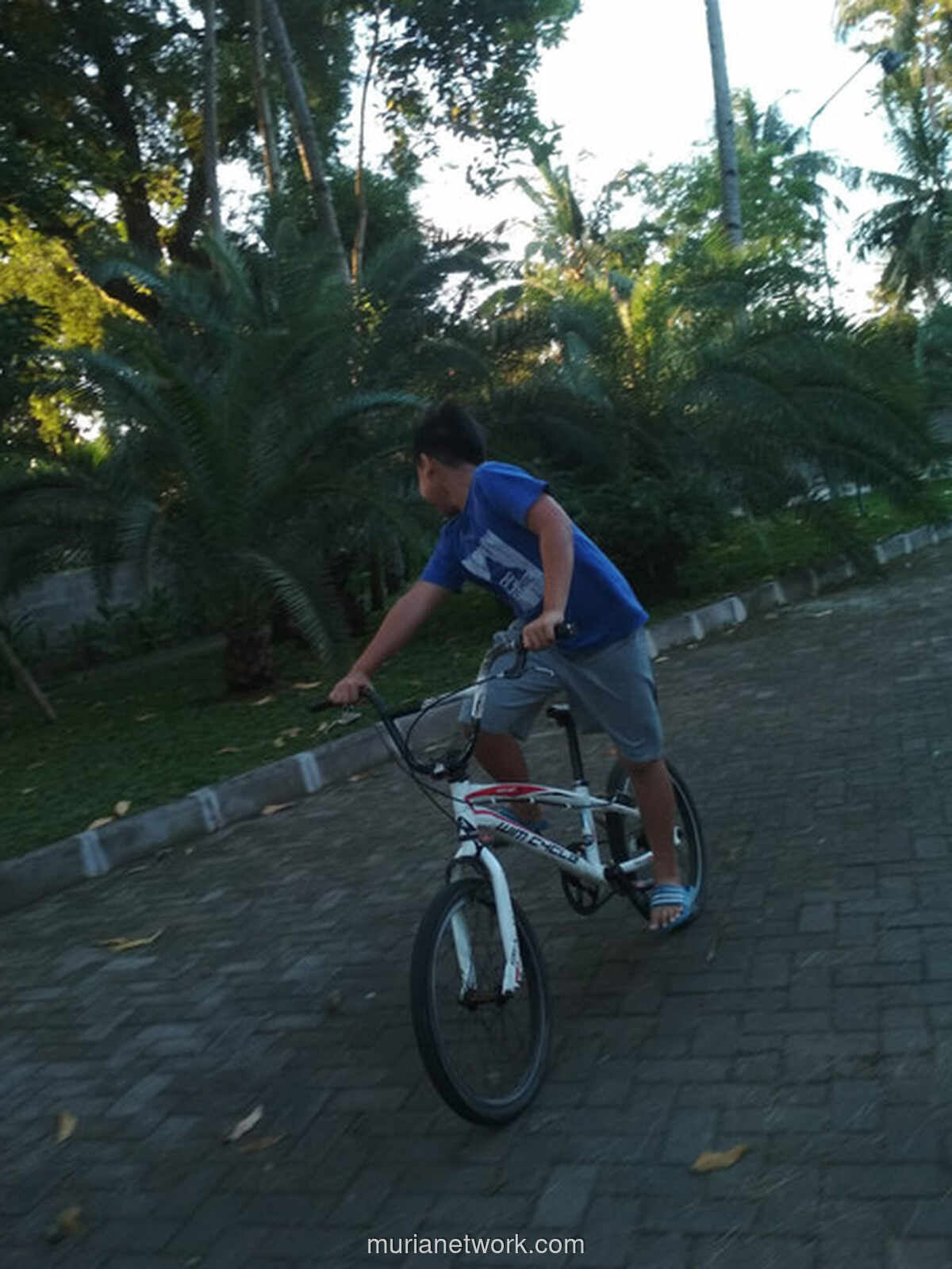 Kenangan Pantai dan Lapangan: Sebuah Rindu untuk Masa Kecil di Pangandaran