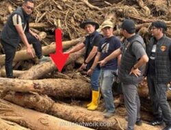 Banjir Garoga Bongkar Ratusan Gelondongan Kayu Ilegal