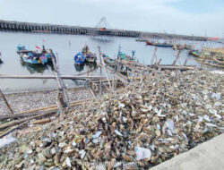 Gunungan Cangkang Kerang di Pesisir Jakarta Ancam Kesehatan dan Lingkungan