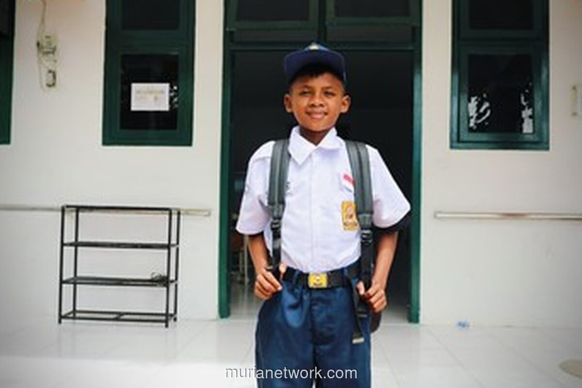 Di Balik Wangi Pala Ternate, Albert Kumpulkan Rupiah Demi Sekolah