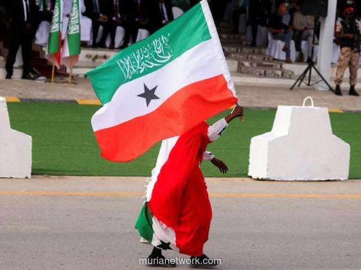 Israel Akui Somaliland, 21 Negara Serukan Pelanggaran Hukum Internasional