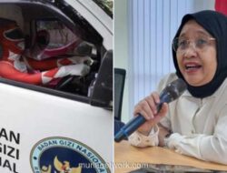 Power Rangers Antar Makan Bergizi, Ide Unik BGN untuk Semangatkan Siswa