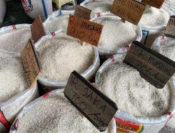 Harga Beras di Indonesia Timur Masih Terganjal Medan, Meski Trennya Mulai Turun
