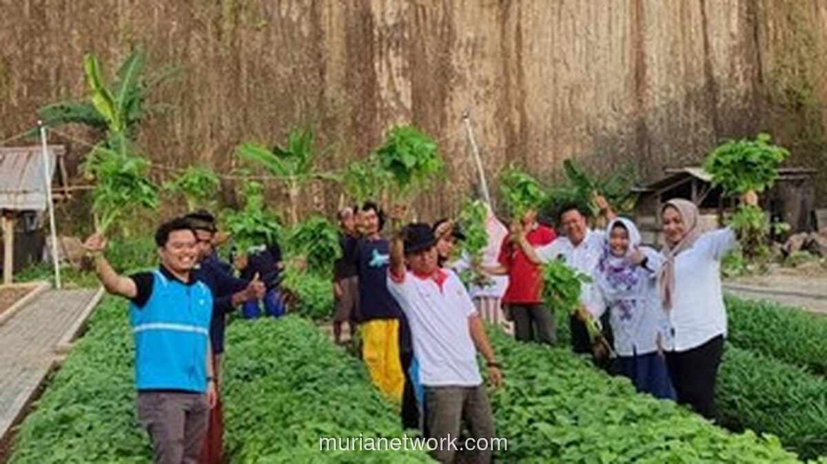 Lahan Bekas Tambang Pasir di Cilegon Kini Berubah Jadi Kebun dan Hutan Energi