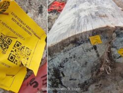 Stiker Barcode di Kayu Viral Lampung Ungkap Jejak Legalitas