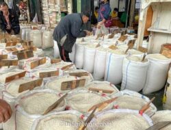 Amran Targetkan Serapan 2,5 Juta Ton Beras Saat Panen Raya 2026