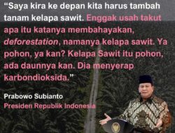 Prabowo Gaungkan Ekspansi Sawit: Dari Sumatera hingga Papua, Bukan Cuma Minyak Goreng