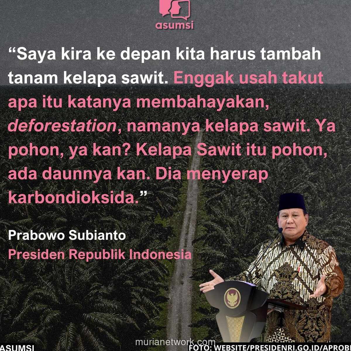 Prabowo Gaungkan Ekspansi Sawit: Dari Sumatera hingga Papua, Bukan Cuma Minyak Goreng