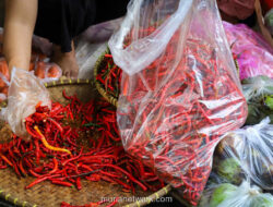Harga Cabai hingga Daging Sapi Anjlom, Dompet Warga Lega Jelang Akhir Tahun