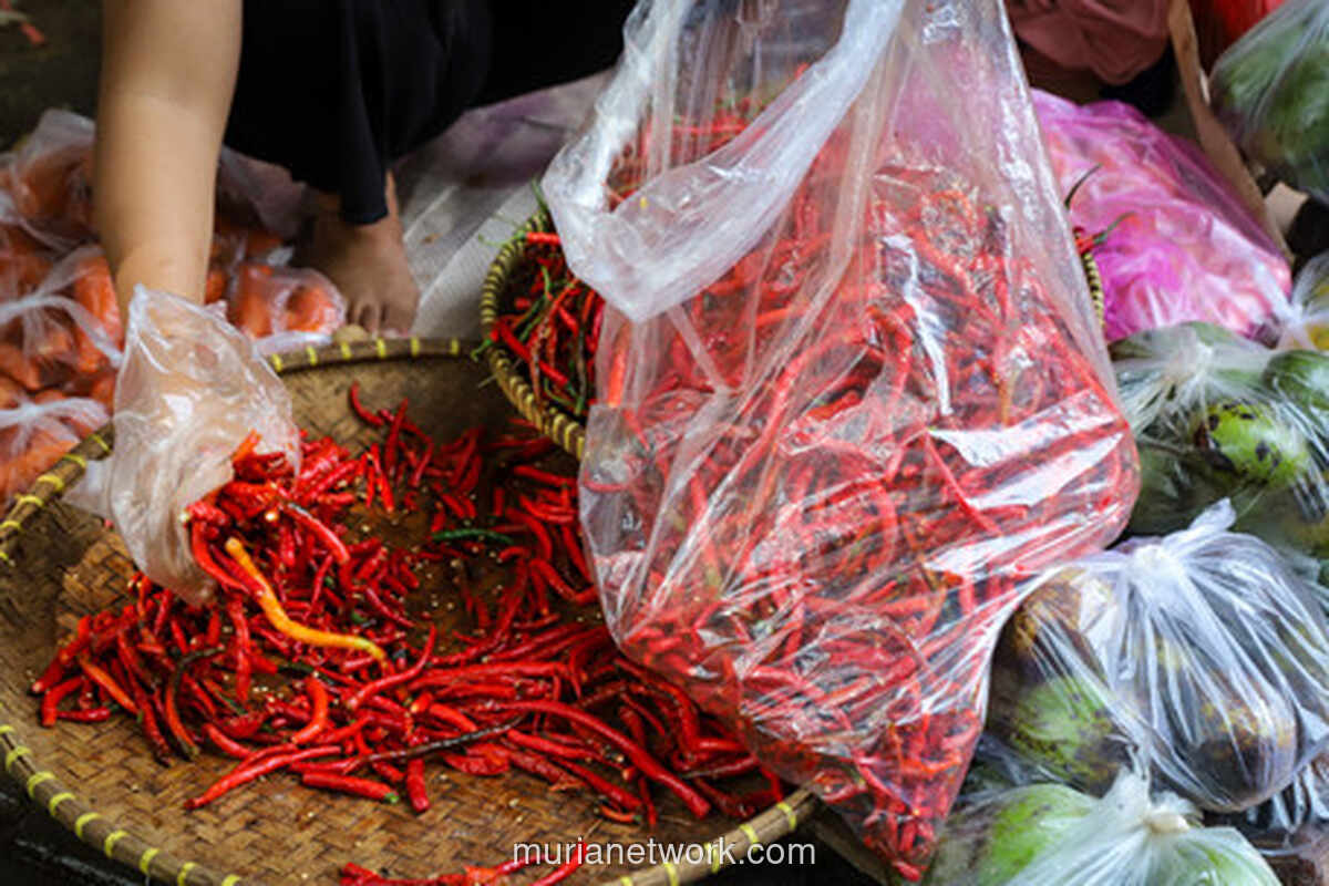 Harga Cabai hingga Daging Sapi Anjlom, Dompet Warga Lega Jelang Akhir Tahun