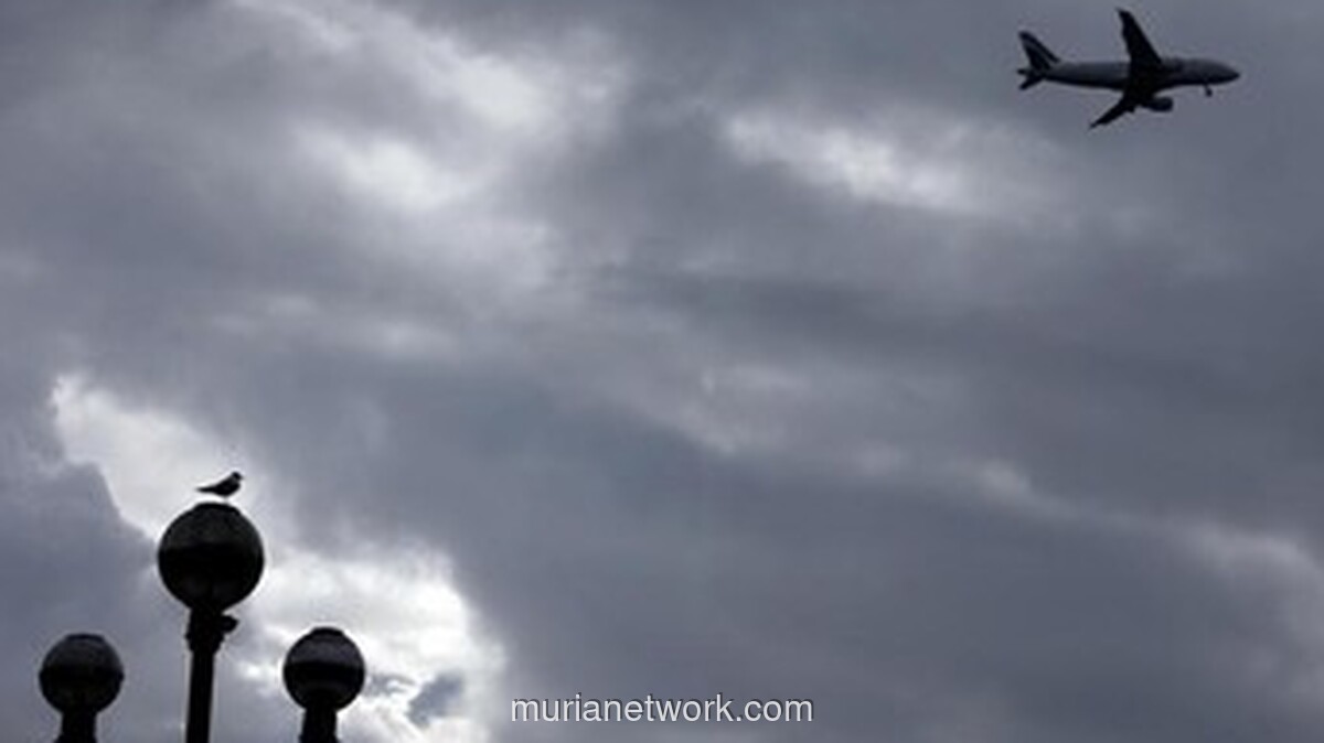 Jet Pribadi Petinggi Militer Libya Jatuh di Turki, Seluruh Penumpang Tewas