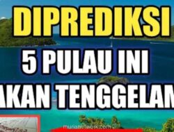 Data Deforestasi Bertolak Belakang, Pulau-Pulau Terancam Tenggelam