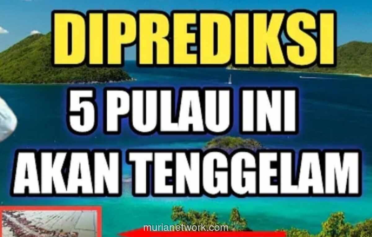 Data Deforestasi Bertolak Belakang, Pulau-Pulau Terancam Tenggelam