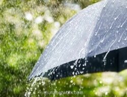 BMKG Ungkap Puncak Hujan Tak Serentak, Waspada Gelombang Basah hingga Awal 2026