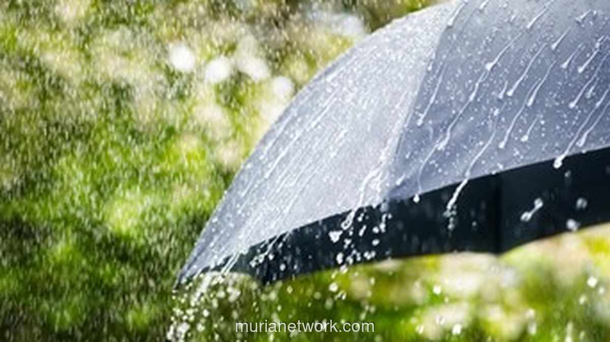 BMKG Ungkap Puncak Hujan Tak Serentak, Waspada Gelombang Basah hingga Awal 2026