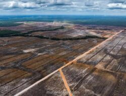 Dari Blandin Kakayo ke Mabes Polri: Perjuangan Vincen Kwipalo untuk Tanah Leluhur