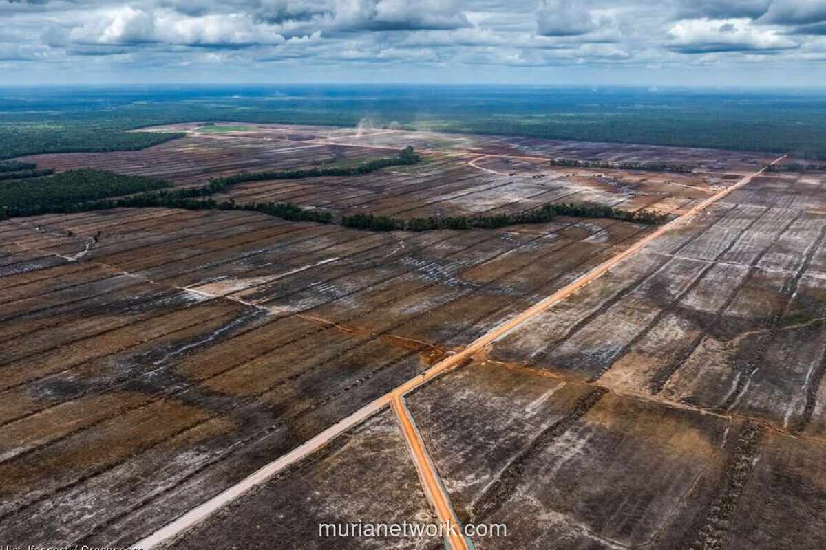 Dari Blandin Kakayo ke Mabes Polri: Perjuangan Vincen Kwipalo untuk Tanah Leluhur