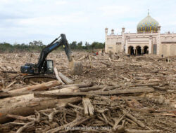 Gelondongan Kayu Berserakan, Alat Berat Dikerahkan untuk Bersihkan Pasca Banjir Aceh Tamiang