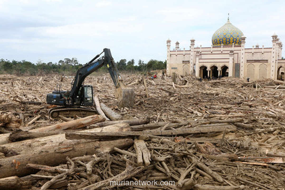 Gelondongan Kayu Berserakan, Alat Berat Dikerahkan untuk Bersihkan Pasca Banjir Aceh Tamiang