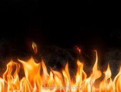 Kobaran Api Pagi Hari Lalap Permukiman Padat di Bawah Tol Wiyoto Wiyono