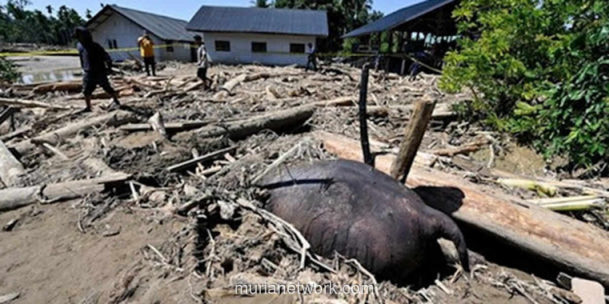 Raja Juli Antoni dan Ujian Nyata di Balik Lambang Gajah PSI