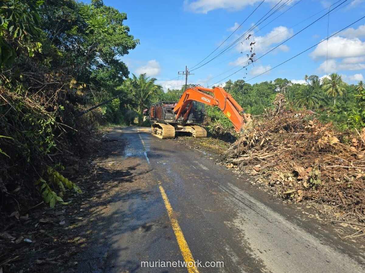 Dua Belas Jalur Nasional di Sumut Kembali Dibuka Pasca Banjir dan Longsor