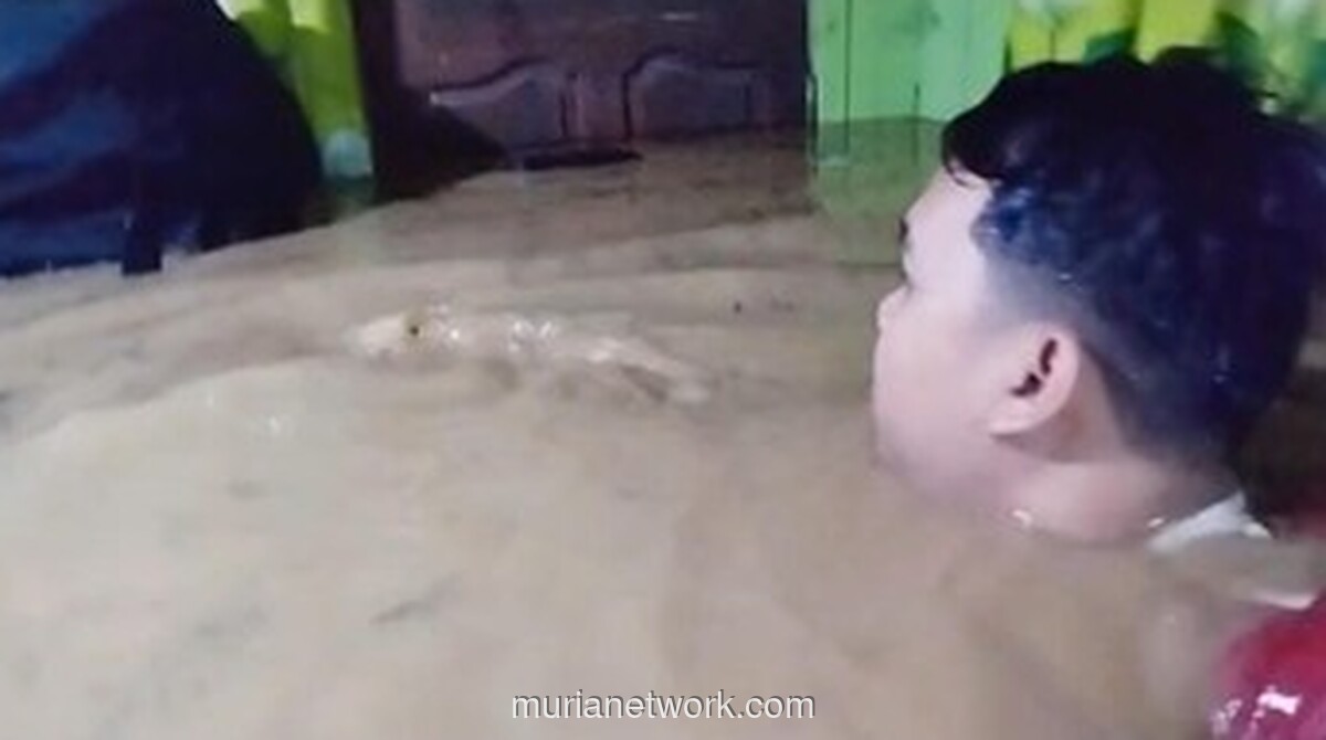 Banjir Setinggi Plafon Terjang Balangan, Warga Berjuang Menyelamatkan Diri