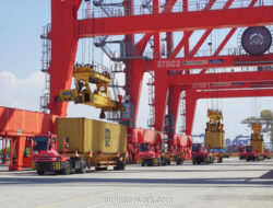 Pelindo Terminal Petikemas Pacu Target, Arus Kontainer 2025 Diprediksi Tumbuh 5%