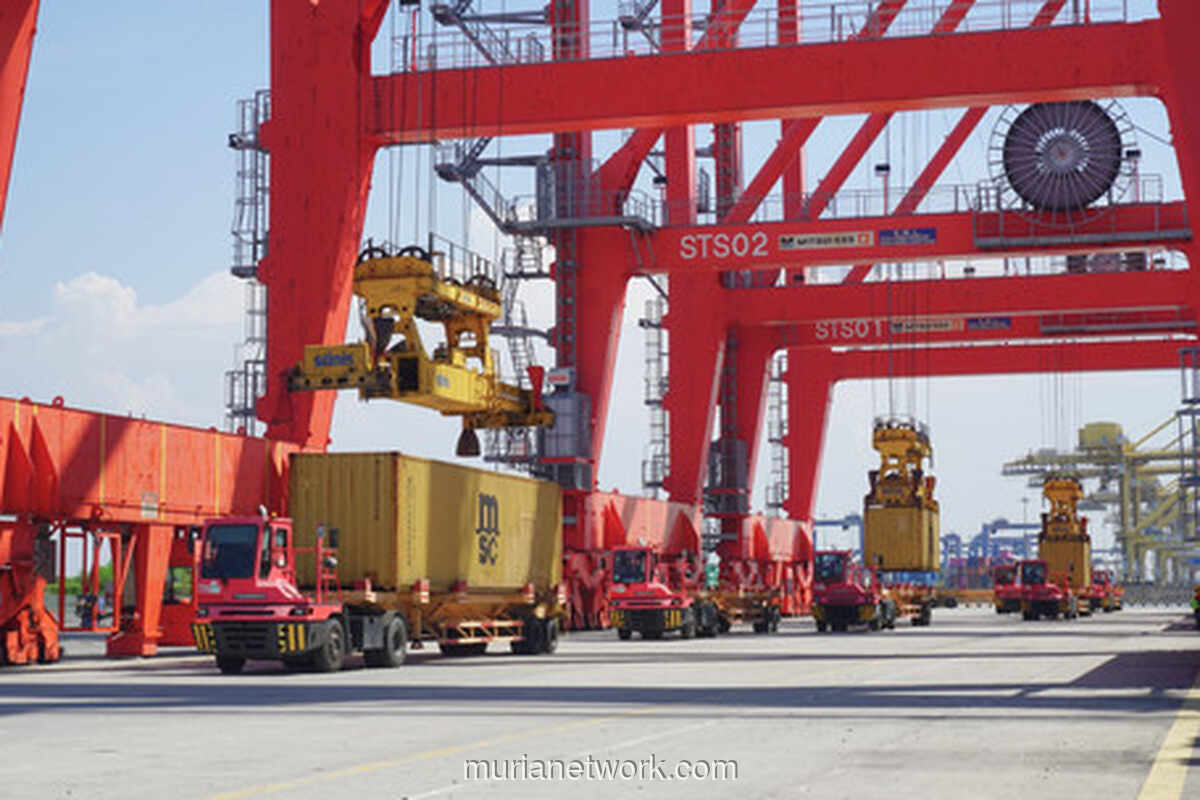 Pelindo Terminal Petikemas Pacu Target, Arus Kontainer 2025 Diprediksi Tumbuh 5%