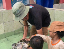 Di Pesisir Batu Hiu, Seorang Seniman Menjadi Penjaga Terakhir Para Penyu