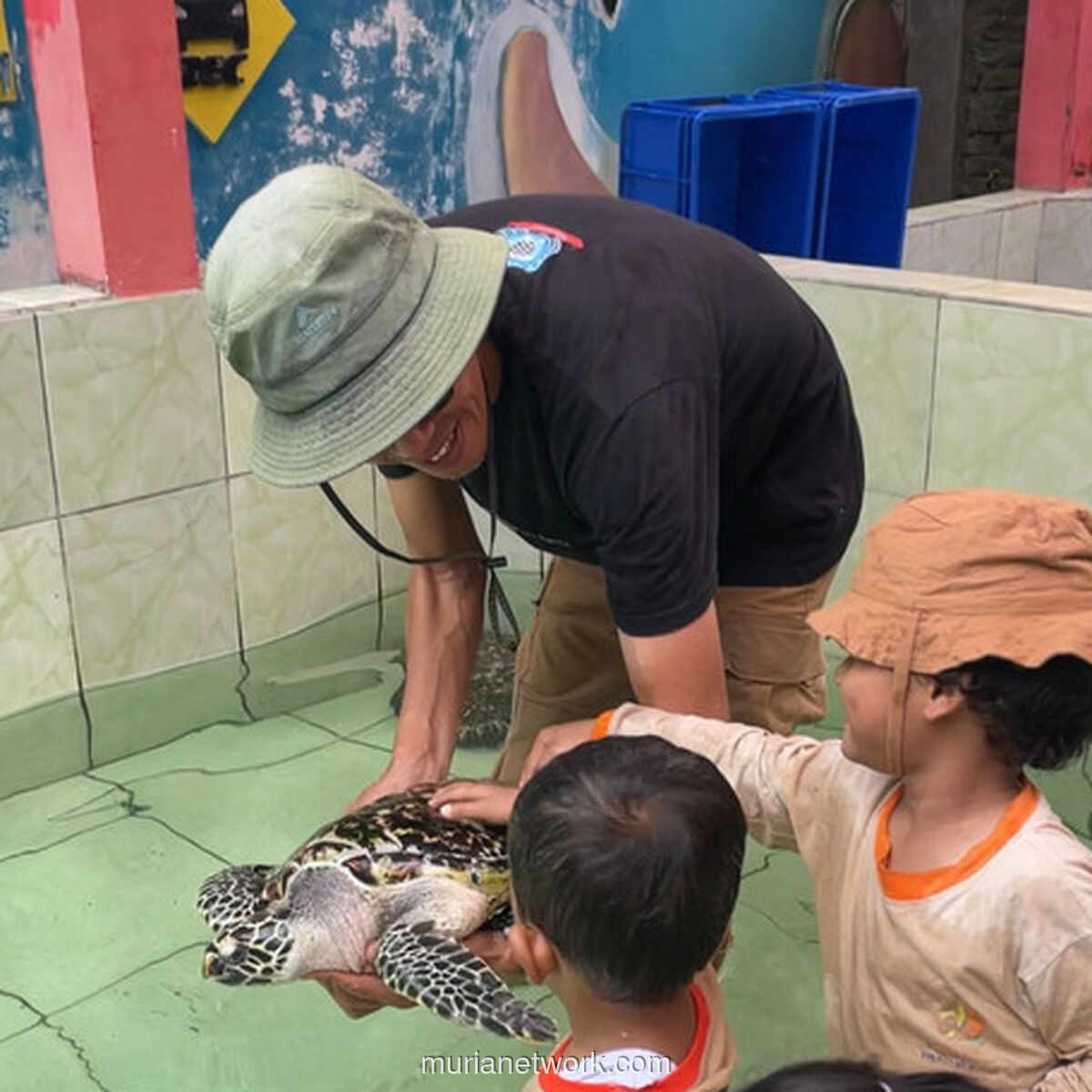 Di Pesisir Batu Hiu, Seorang Seniman Menjadi Penjaga Terakhir Para Penyu