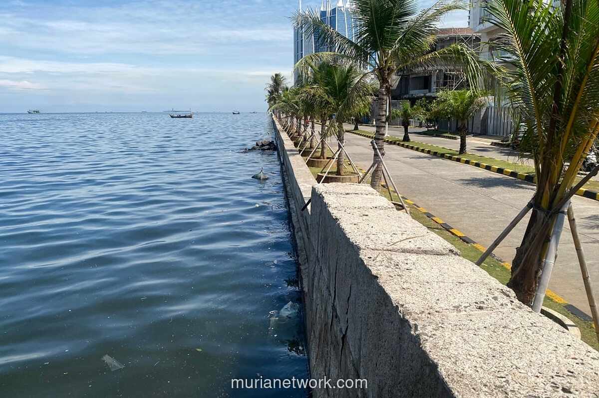 Rob Menggerogoti Pantai Mutiara, Tanggul Jakarta Utara Hampir Jebol