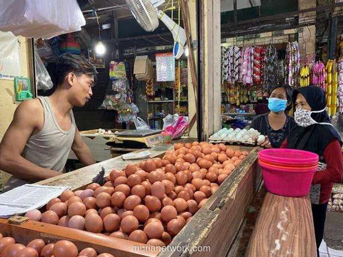 Stok Telur Nasional Melimpah, Harga Dijamin Stabil hingga Lebaran 2026