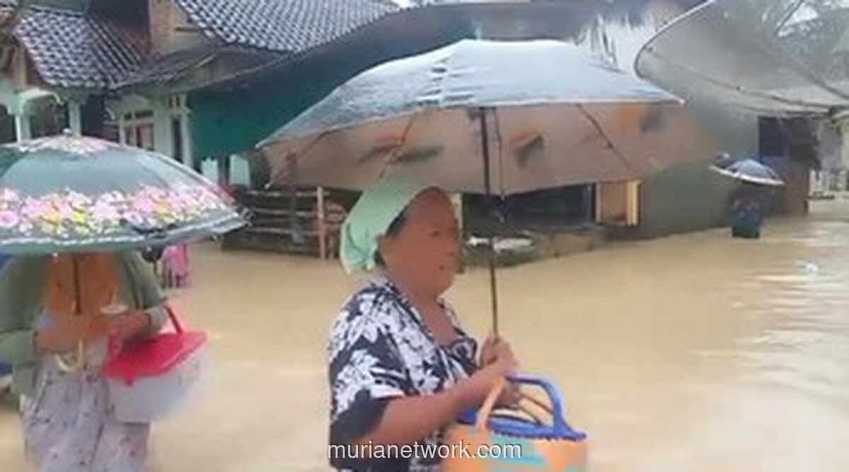 Deras Tak Henti, Empat Kampung di Pandeglang Terendam Luapan Sungai Cilemer