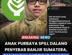 Anak Menkeu Sebut Nama, Saham PT Toba Pulp Lestari Anjlok